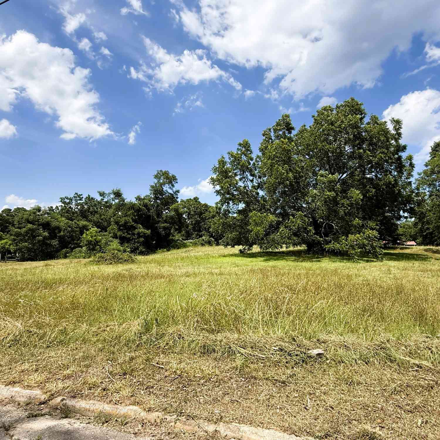 Vacant Land For Sale - Pulliam Street<br/> Elberton, GA 30635