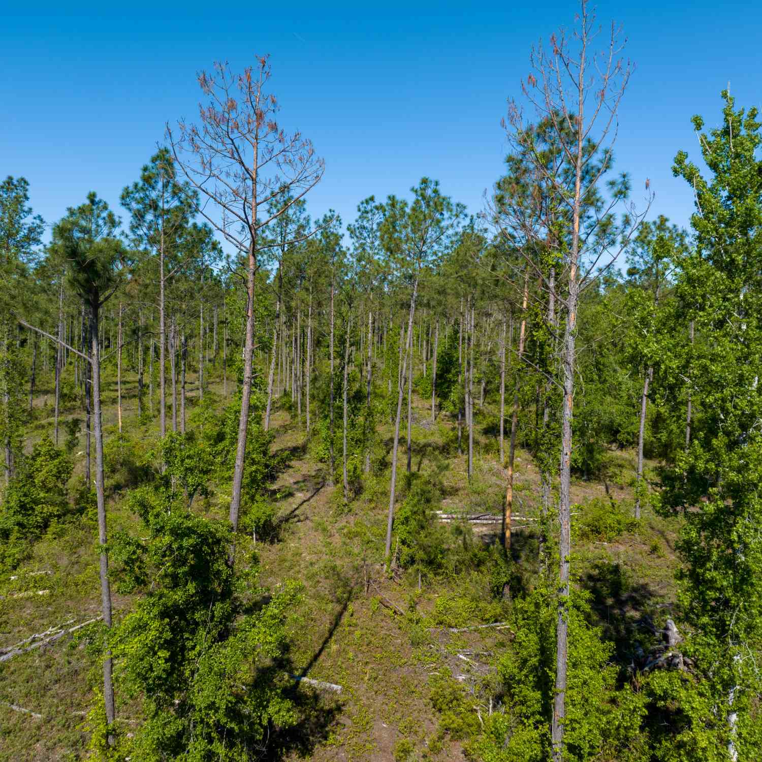 Vacant Land For Sale - Knights Academy Road<br/> Valdosta, GA 31605