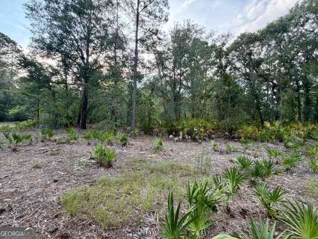 Vacant Land For Sale - 1208 Hillside<br/> Claxton, GA 31401