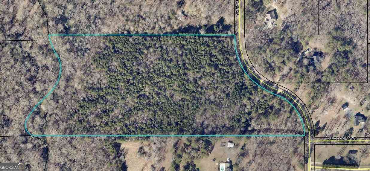 Vacant Land For Sale - Overland Trail<br/> Coweta County, Sharpsburg, GA 30277