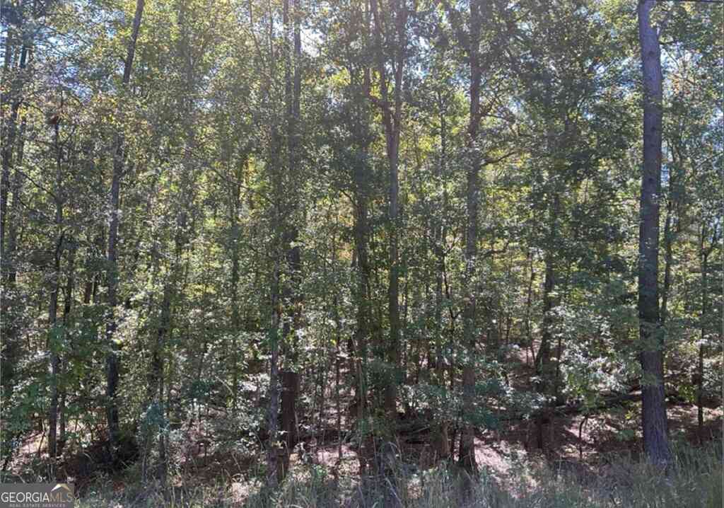 Vacant Land For Sale - LOT 160 Amaryllis Dr<br/> Sparta, GA 31087