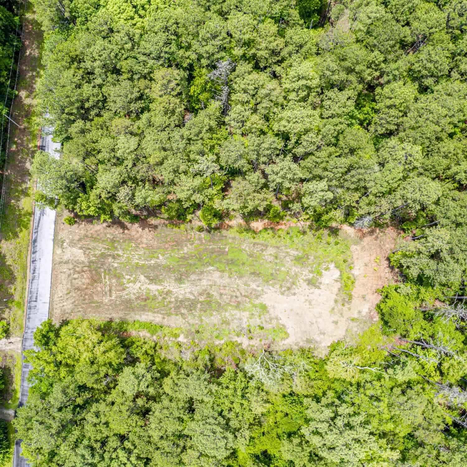 Vacant Land For Sale - 82 Cedar Drive<br/> Sparta, GA 31087