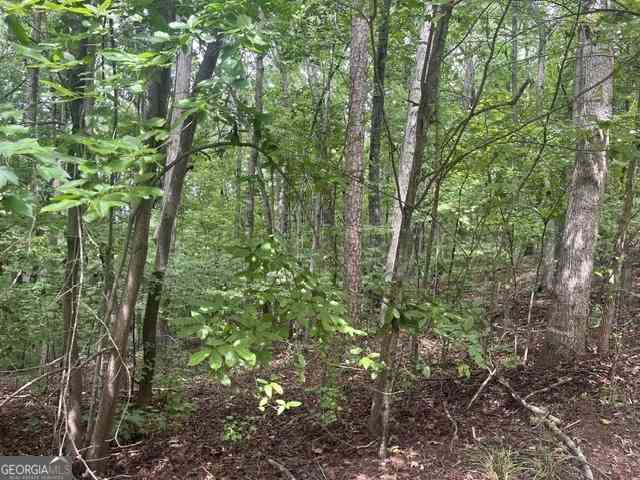 Vacant Land For Sale - 135 Tulip<br/> Westminster, SC 29693