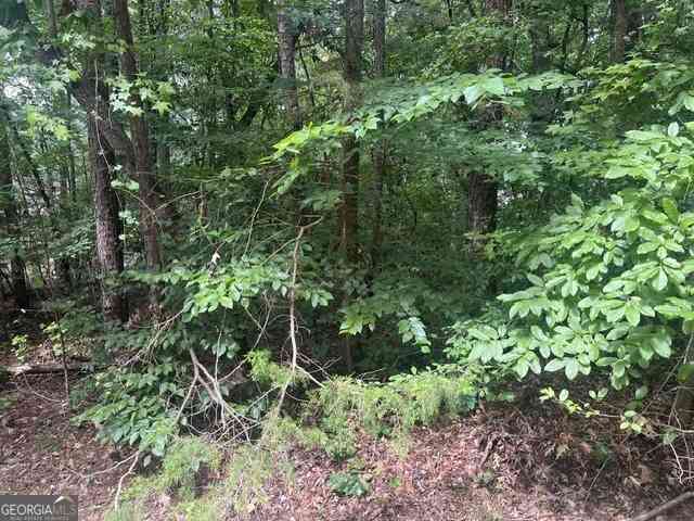 Vacant Land For Sale - 137 Tulip Lane<br/> Westminster, SC 29693