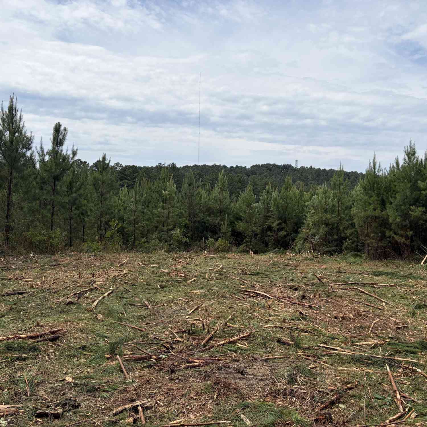 Vacant Land For Sale - John Kay Rd<br/> Bartow County, Taylorsville, GA 30178