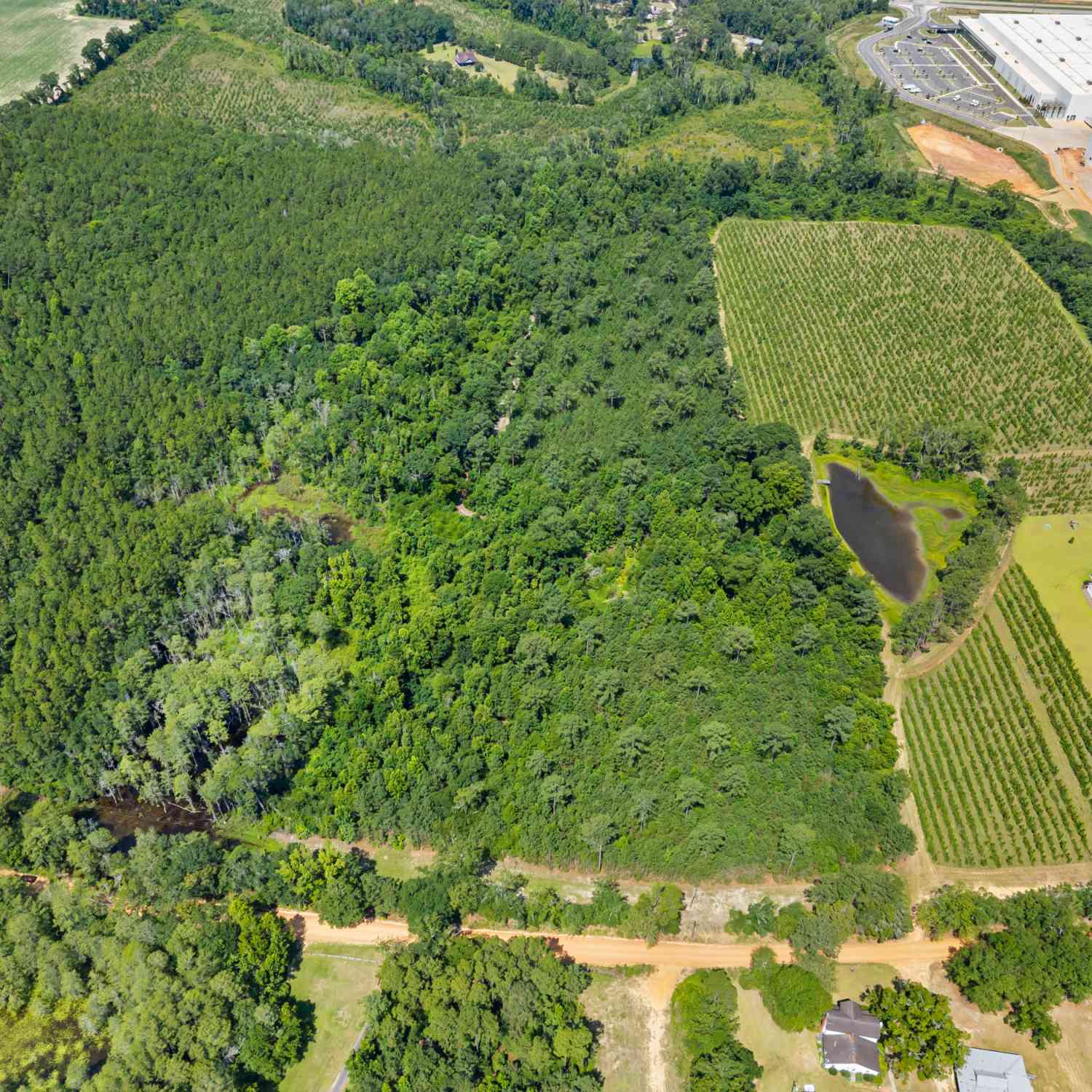 Vacant Land For Sale - Jo Dan Road<br/> Bulloch County, Register, GA 30452