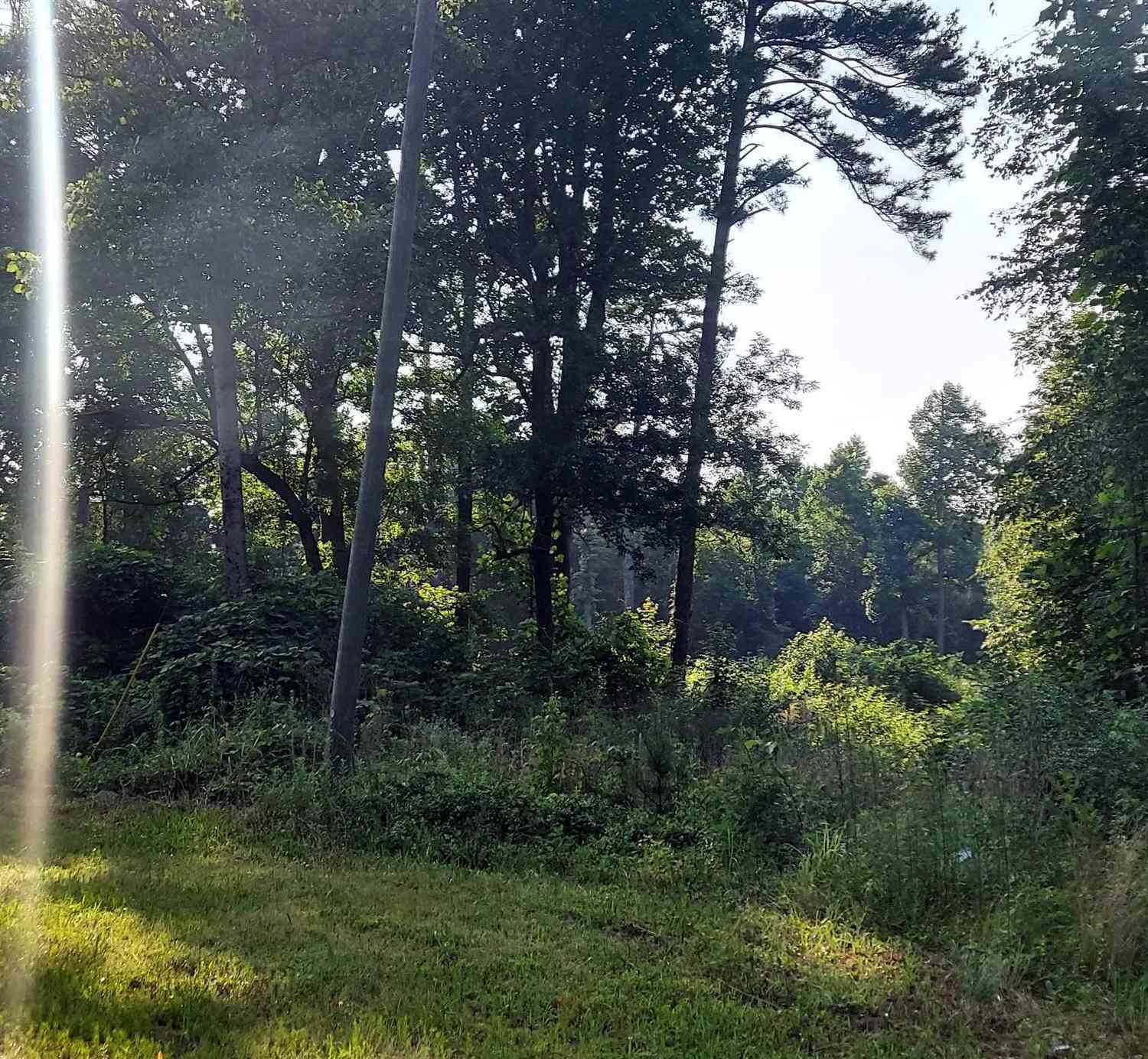 Vacant Land For Sale - 6542 Walker Road<br/> Clayton County, Riverdale, GA 30296