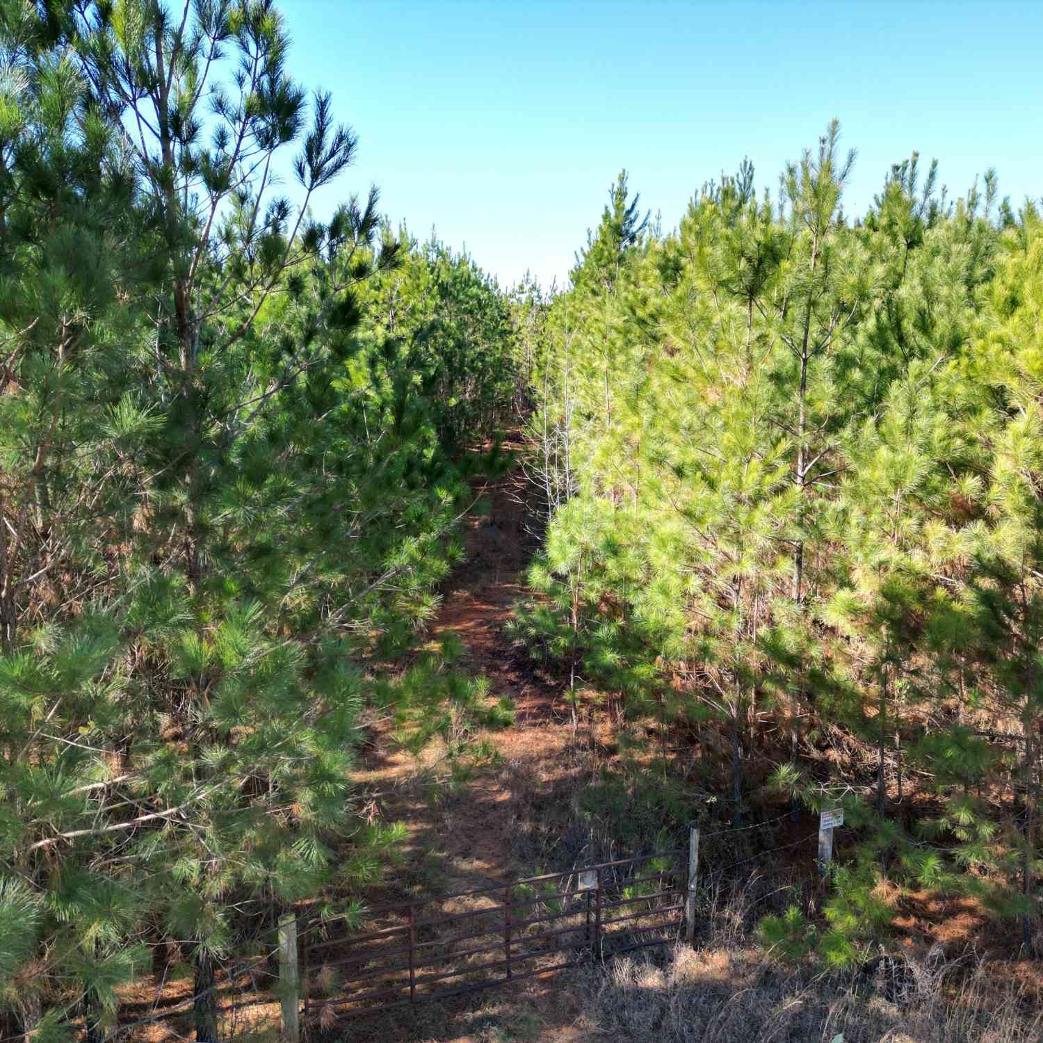 Vacant Land For Sale - Jaudon Road #13.28 ACRE LOT<br/> Elberton, GA 30635
