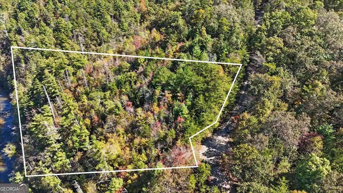 Vacant Land For Sale - 1666 Hunter Drive<br/> Ranger, GA 30734