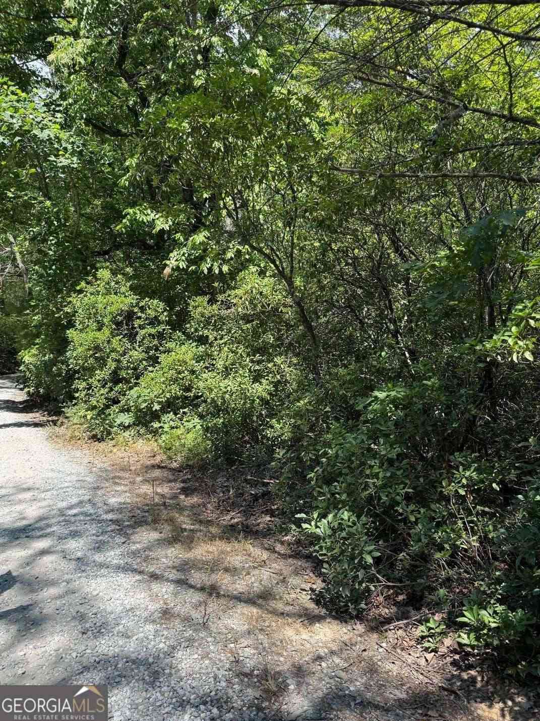 Vacant Land For Sale - Crumley Creek Road #TRACT 2<br/> White County, Sautee Nacoochee, GA 30571