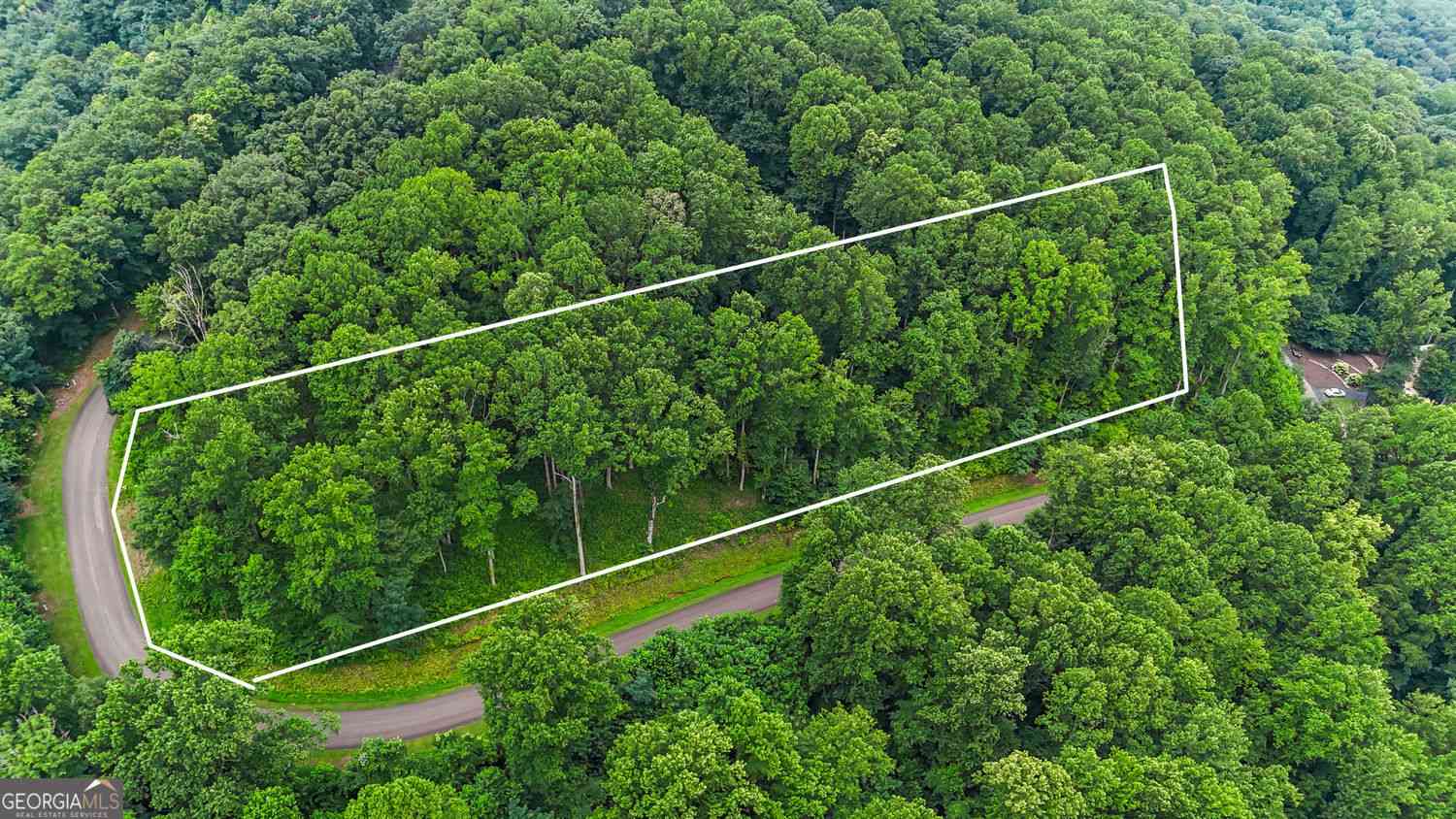 Vacant Land For Sale - LT 296 Andes Ridge<br/> Ellijay, GA 30536