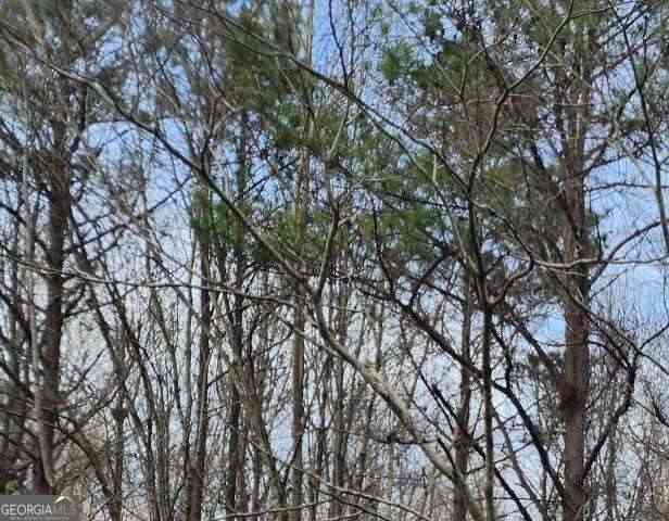 Vacant Land For Sale - U S Highway 80 E<br/> Crawford County, Knoxville, GA 31050