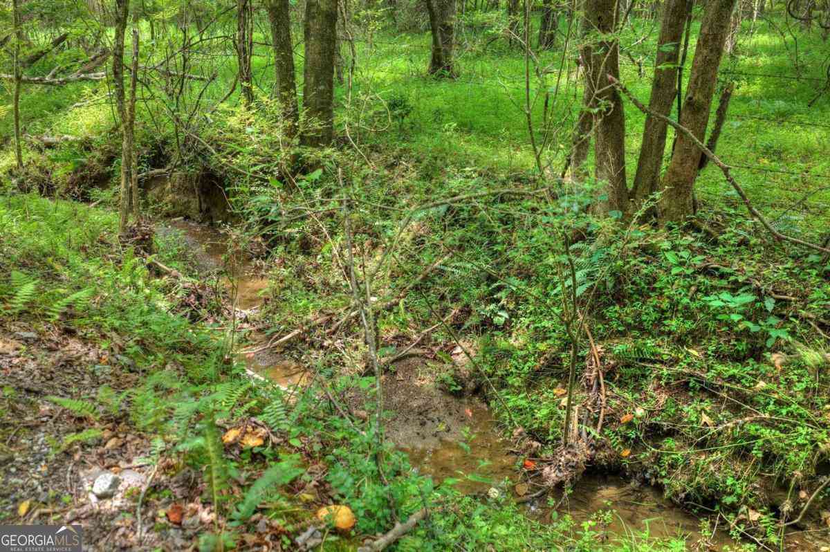 Vacant Land For Sale - Scots Glen Road<br/> Mineral Bluff, GA 30559
