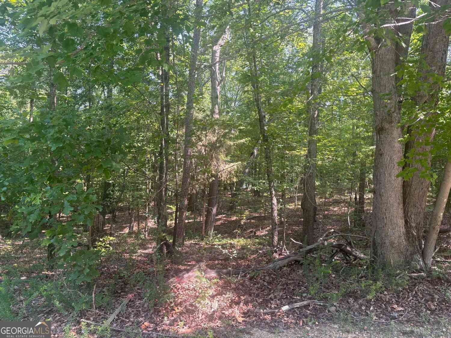 Vacant Land For Sale - 13 Jewell Drive SE<br/> Rome, GA 30161