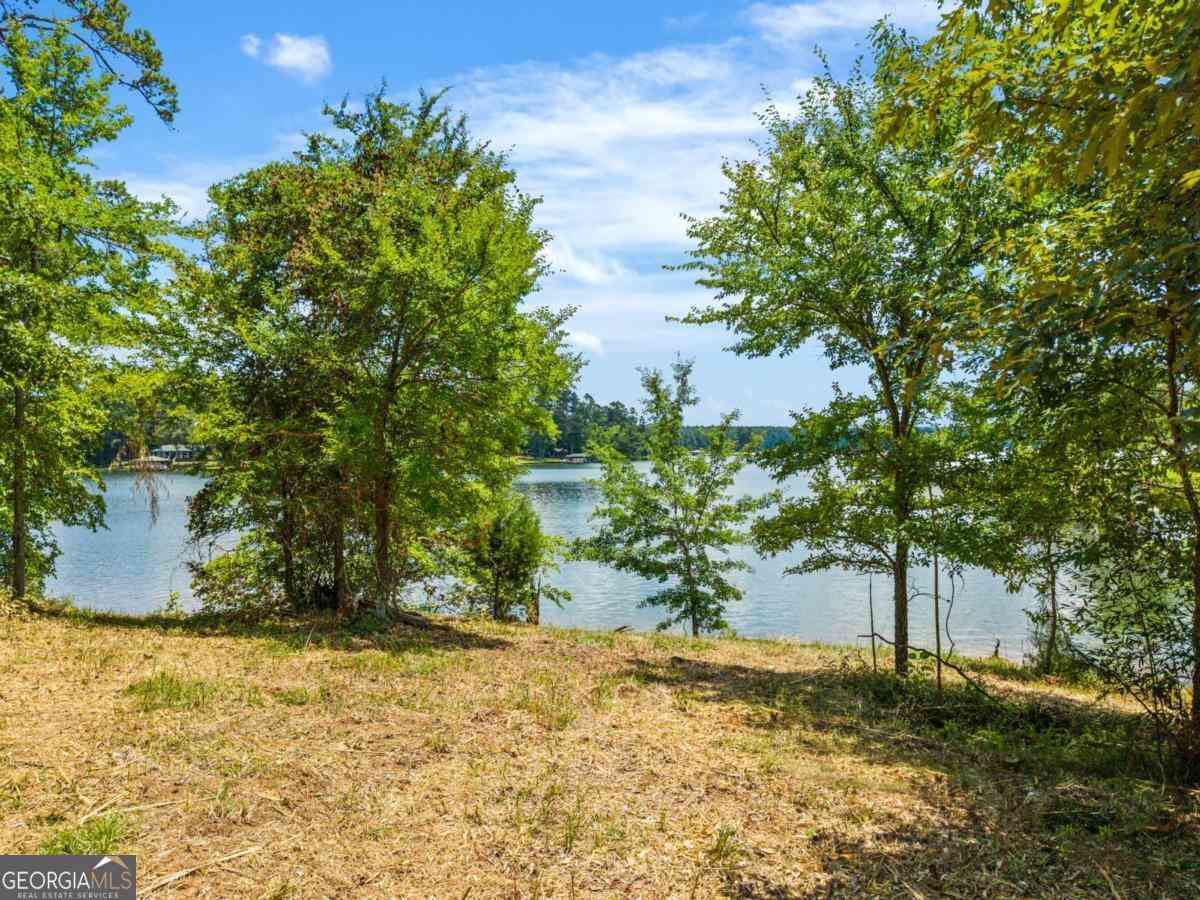 Vacant Land For Sale - Foxglove Drive<br/> Sparta, GA 31087