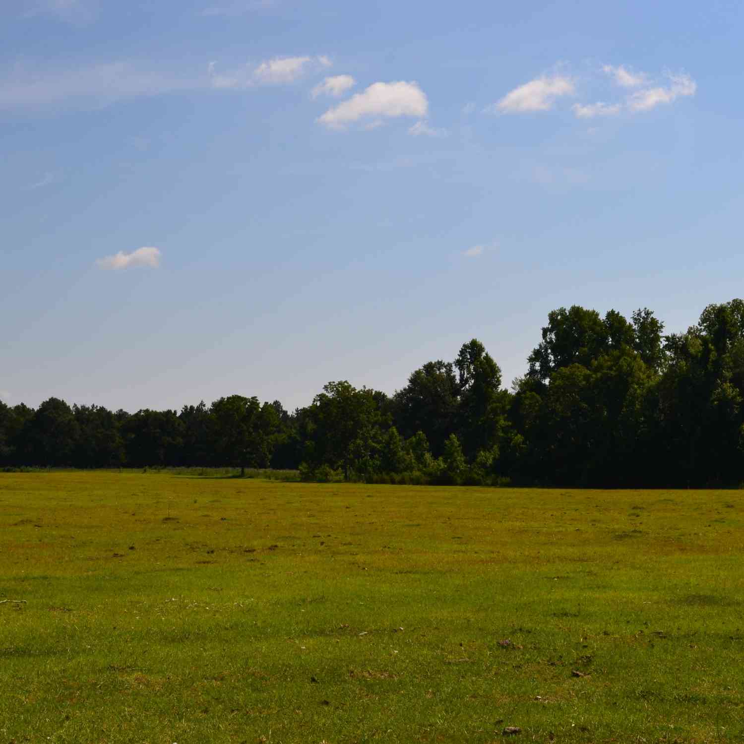 Vacant Land For Sale - BISHOP Canoochee Road<br/> Midville, GA 30441
