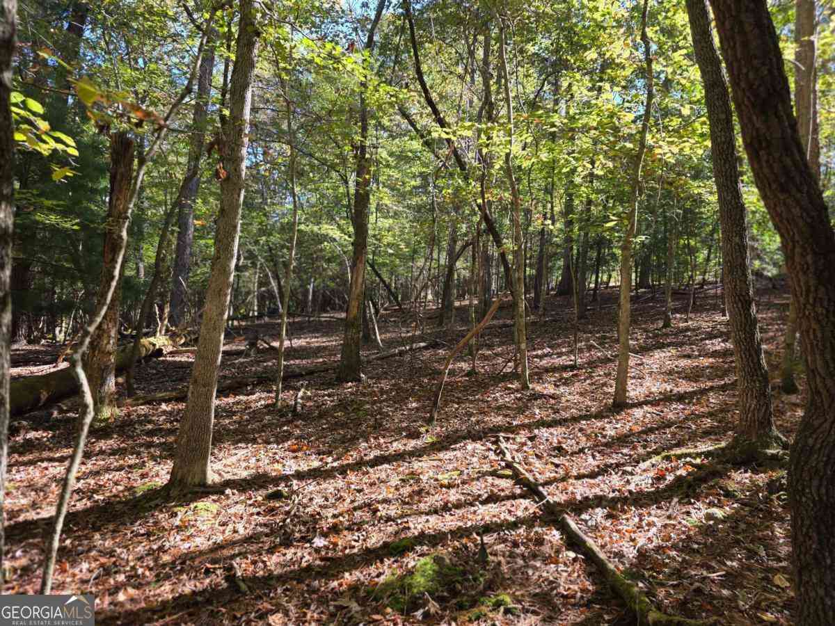 Vacant Land For Sale - LOT #385 Zenith Trail #385<br/> Ellijay, GA 30540