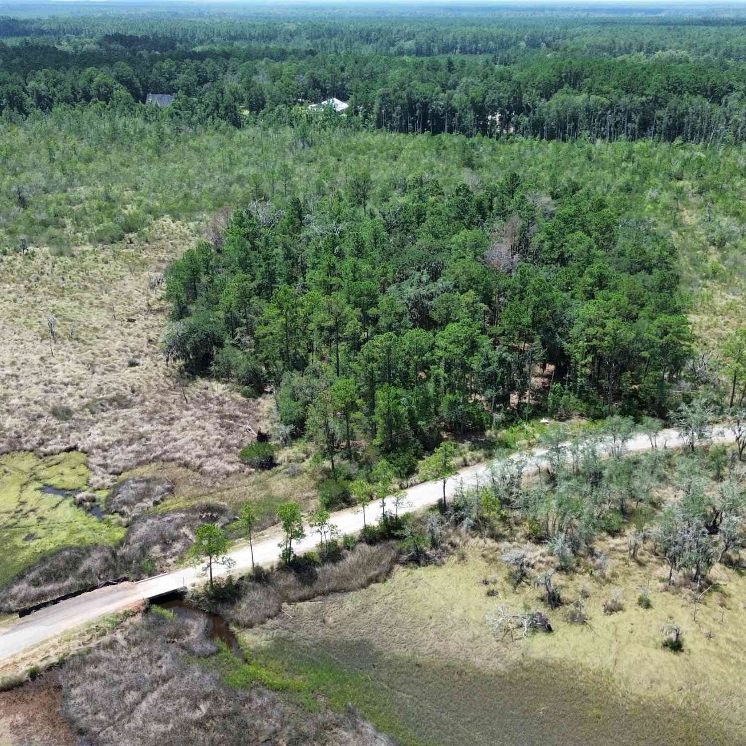 Vacant Land For Sale - Newport Dr NE<br/> Townsend, GA 31331