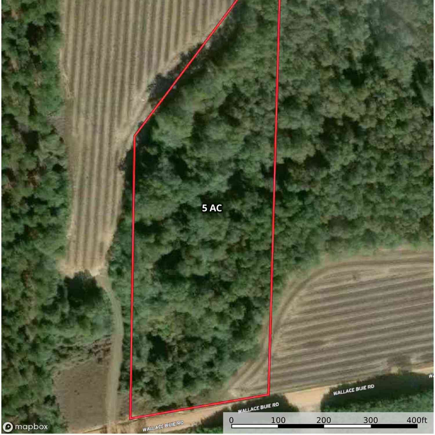 Vacant Land For Sale - 005G Wallace Buie Rd<br/> Ashford, AL 36376