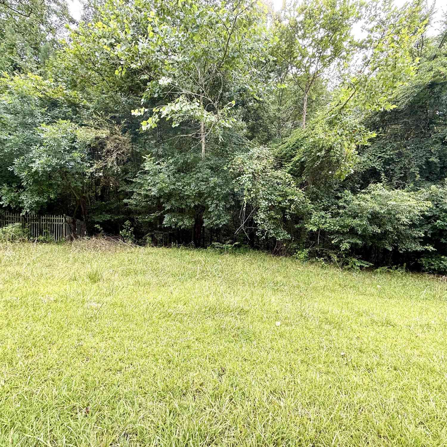 Vacant Land For Sale - 267 Branch Drive<br/> Jackson County, Pendergrass, GA 30567