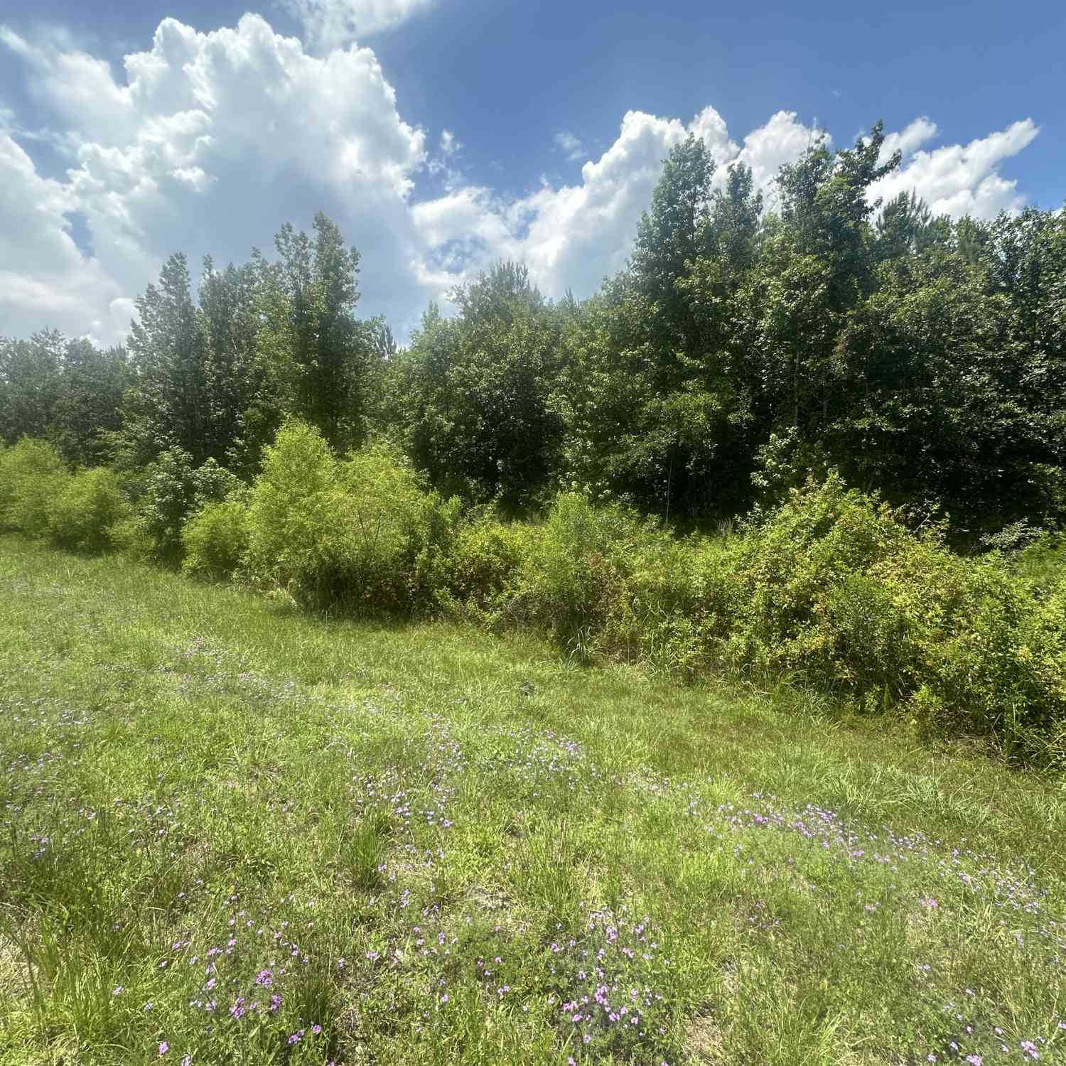 Vacant Land For Sale - 1475 Old Us Hwy Highway 1<br/> Jefferson County, Wadley, GA 30477