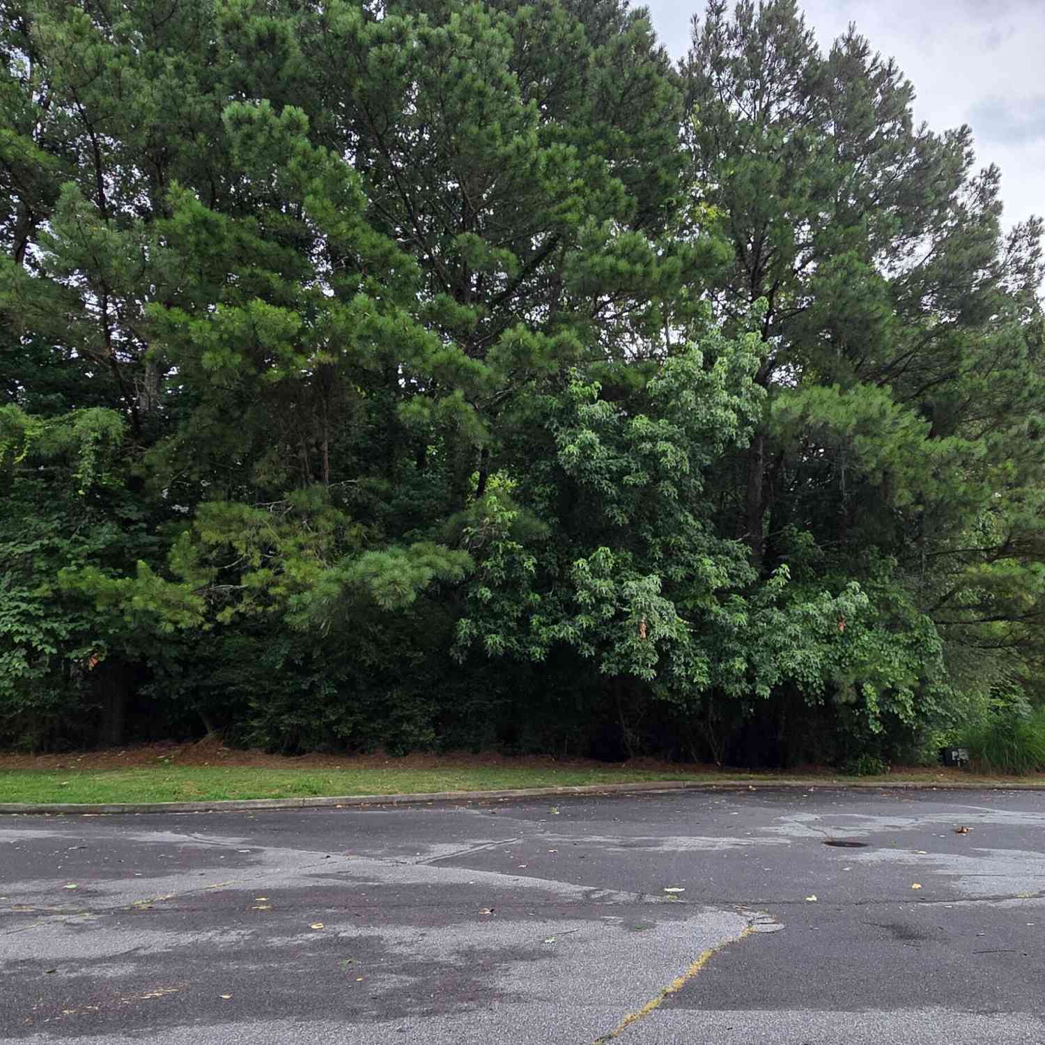 Vacant Land For Sale - 14210 Old Course Drive<br/> Cherokee County, Roswell, GA 30075