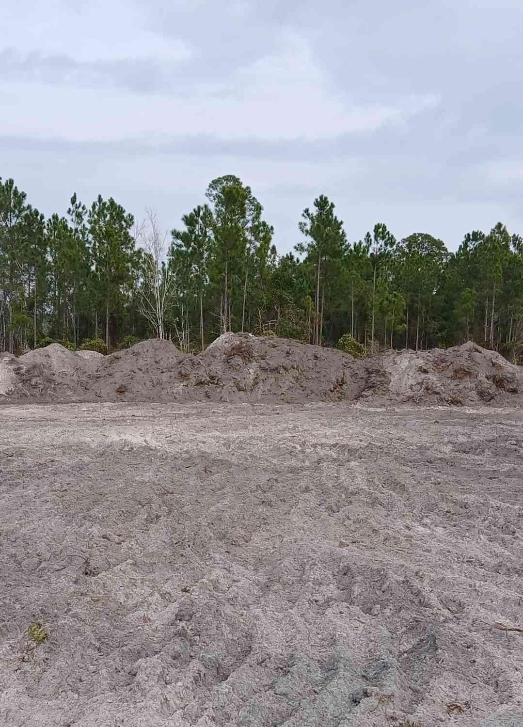 Vacant Land For Sale - 0 (LOT 7) Dogwood Lane<br/> Folkston, GA 31537
