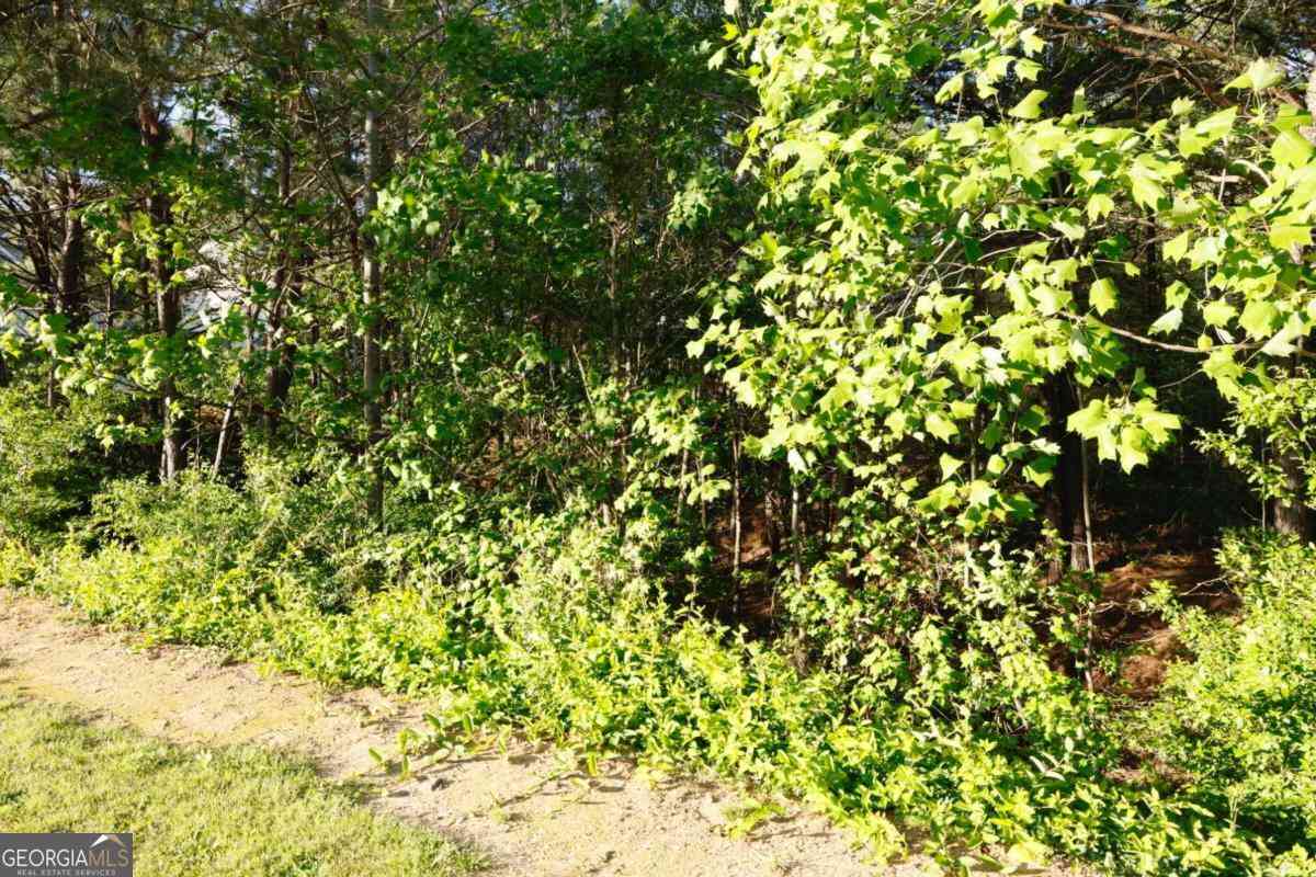 Vacant Land For Sale - Hollyhock Lane<br/> Paulding County, Dallas, GA 30132