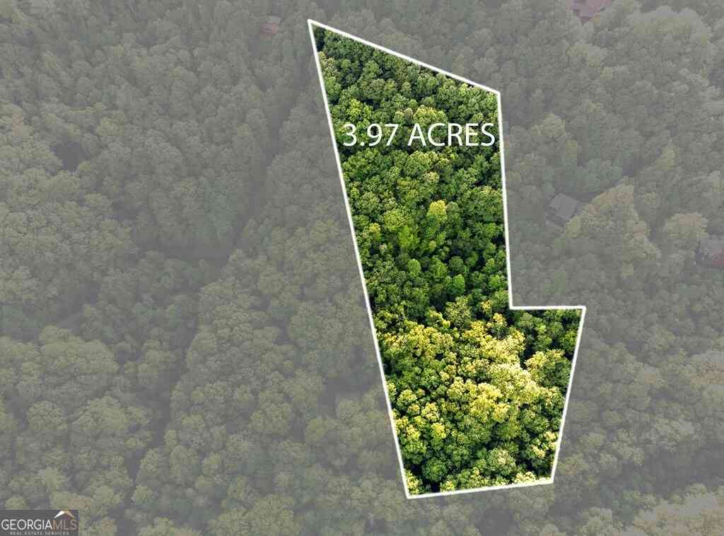Vacant Land For Sale - LOT 18 Cub Trail<br/> Cherry Log, GA 30522