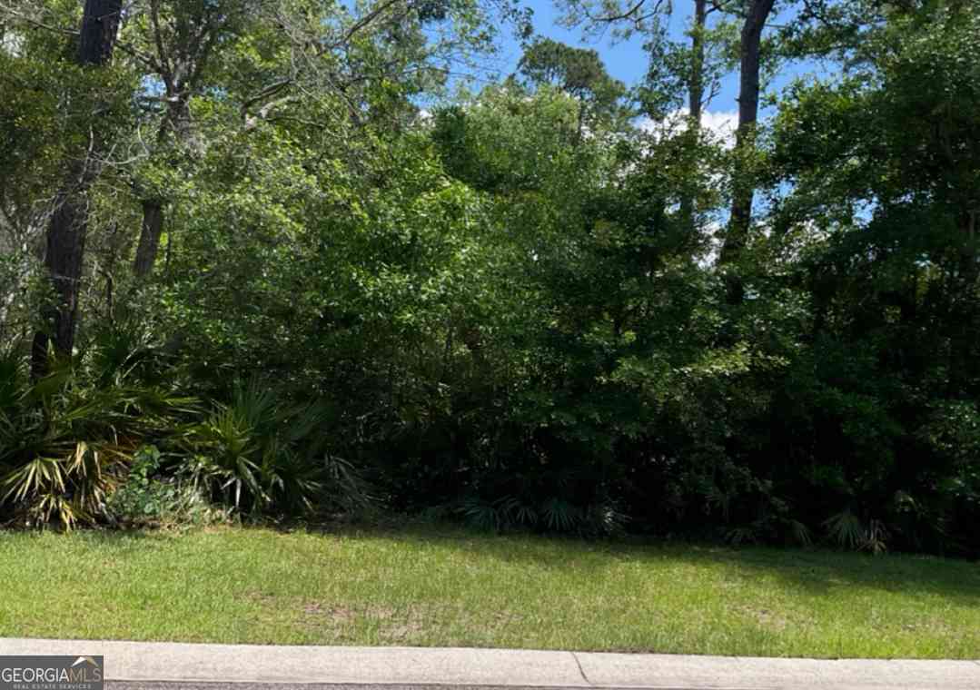 Vacant Land For Sale - Mooring Lane<br/> Camden County, Saint Marys, GA 31558