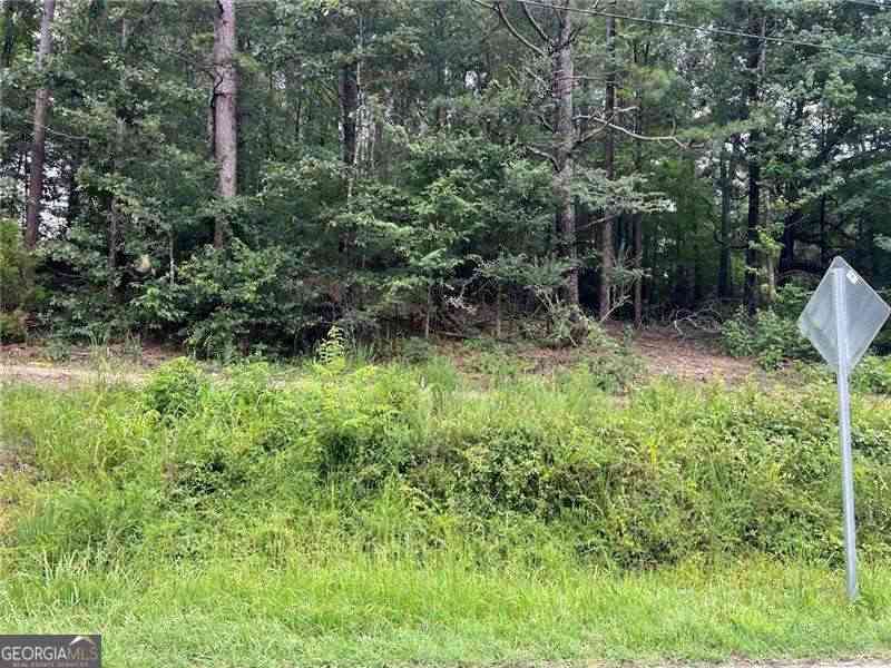Vacant Land For Sale - 3963 Dabbs Bridge Road<br/> Acworth, GA 30101