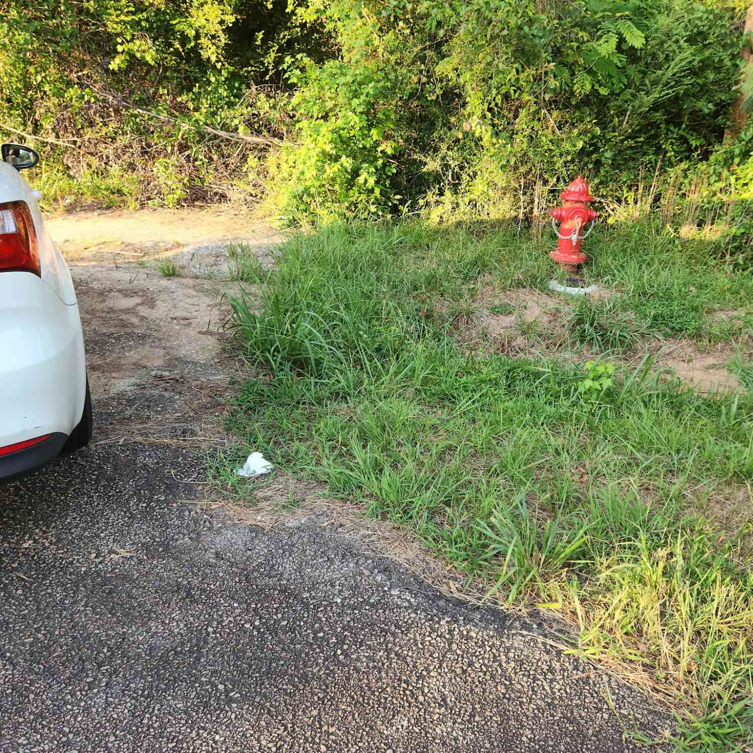 Vacant Land For Sale - W. Main Street<br/> Troup County, Hogansville, GA 30230