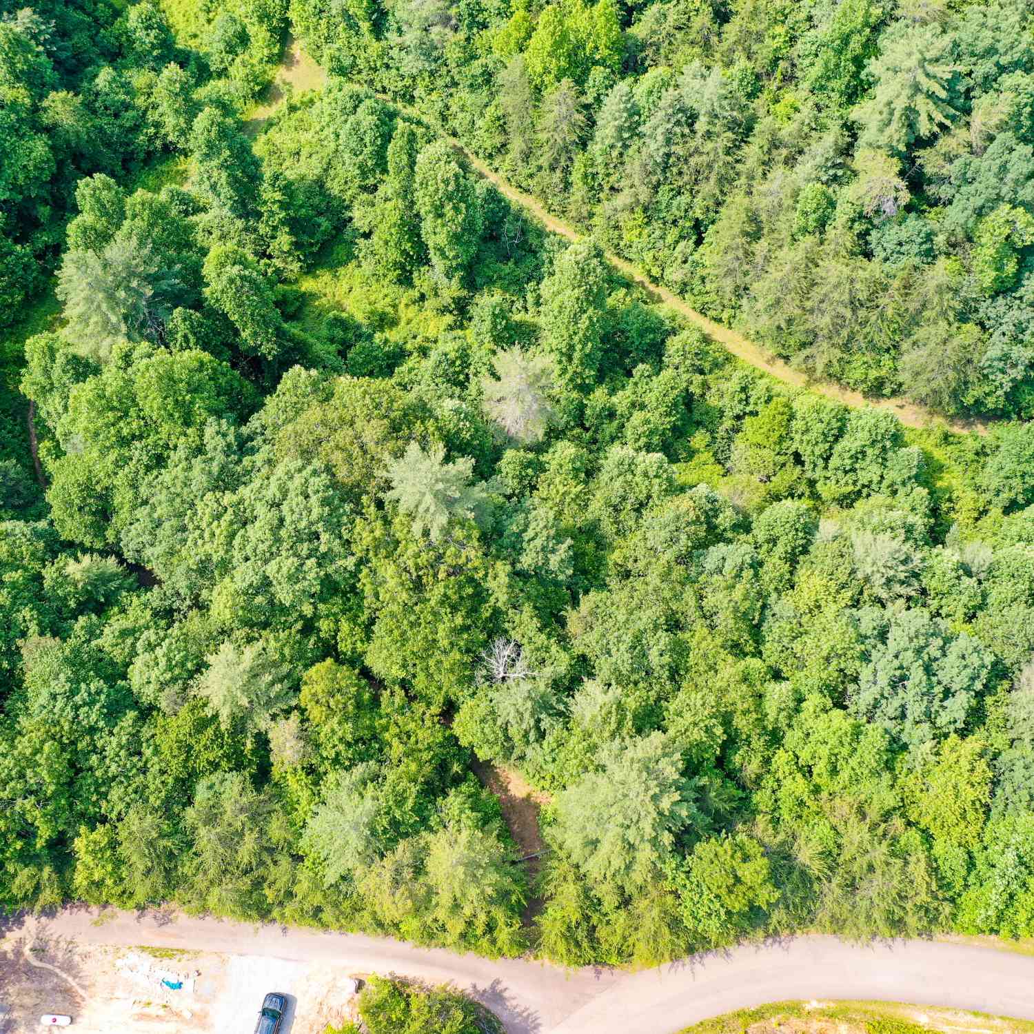Vacant Land For Sale - Flagpole Circle<br/> Ellijay, GA 30540