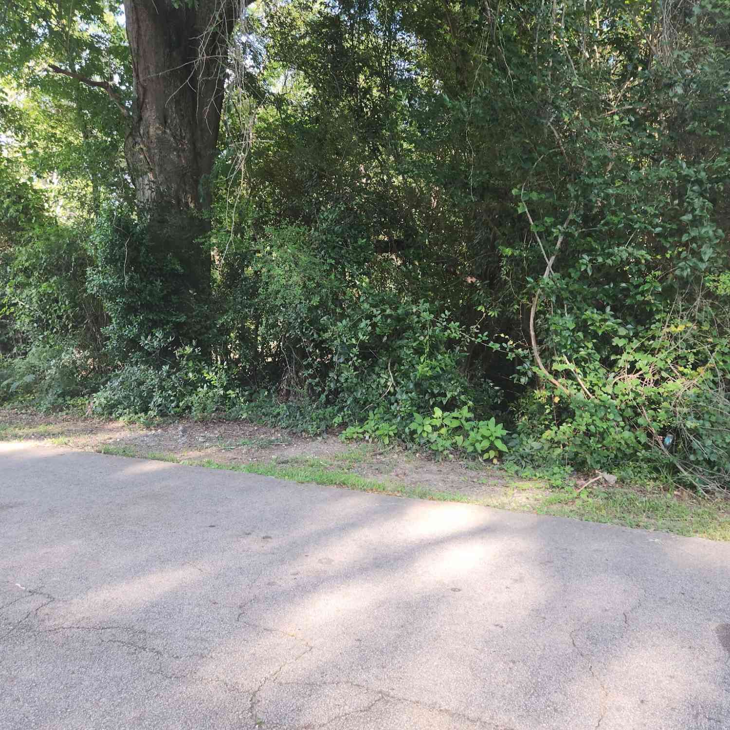 Vacant Land For Sale - 404 Poplar Street<br/> Troup County, Hogansville, GA 30230