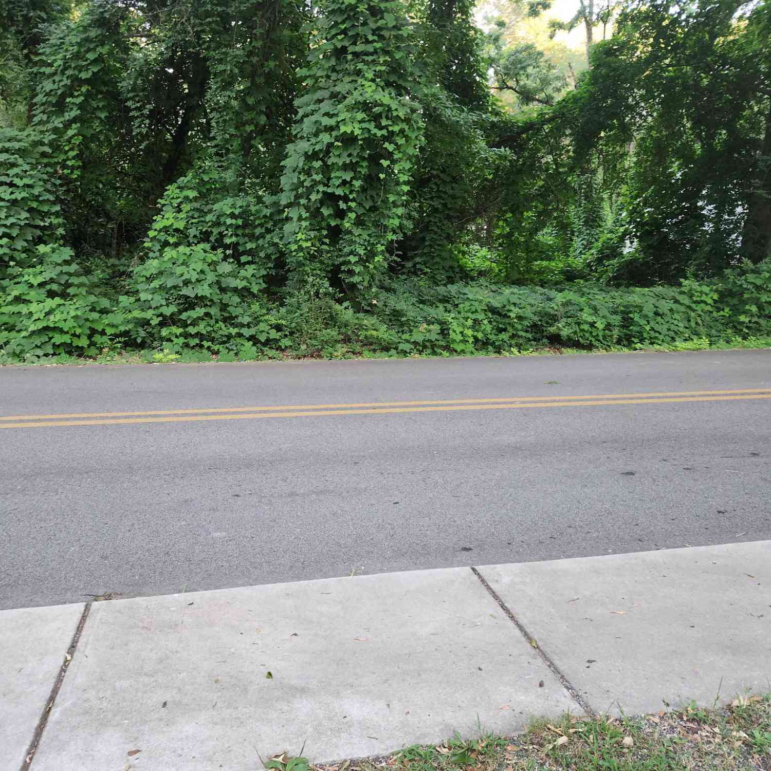 Vacant Land For Sale - Pine Street<br/> Troup County, Hogansville, GA 30230