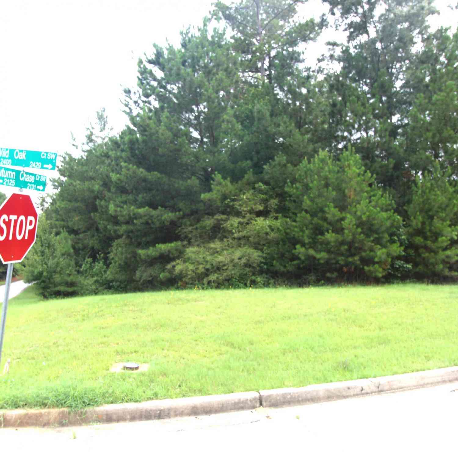 Vacant Land For Sale - 2400 Wild Oak Court<br/> Rockdale County, Stockbridge, GA 30281