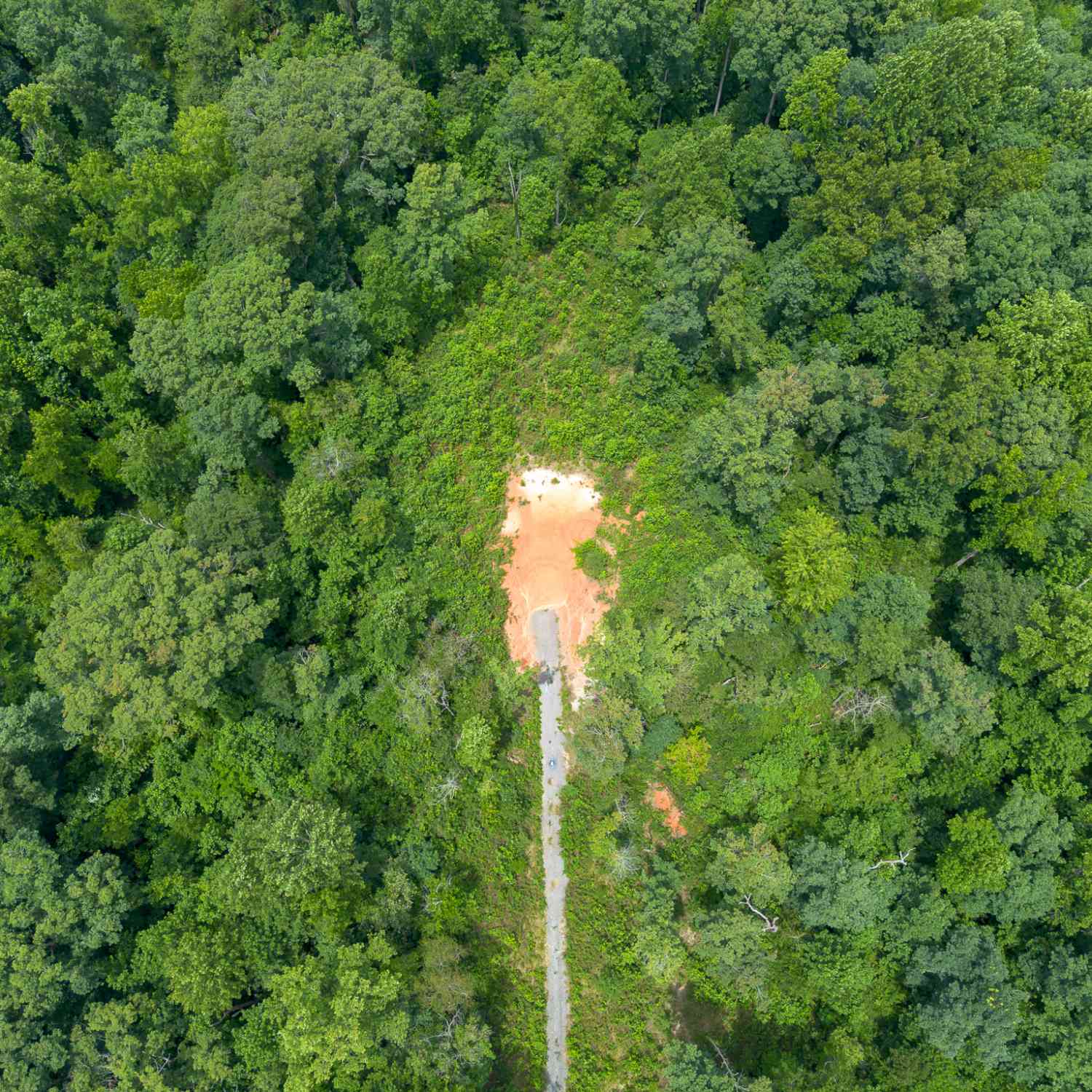 Vacant Land For Sale - W Drive<br/> Banks County, Lula, GA 30554