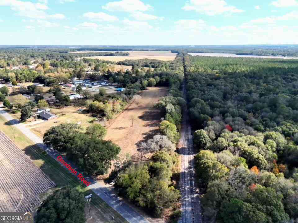 Vacant Land For Sale - Goodson Rd<br/> Mitchell County, Pelham, GA 31779
