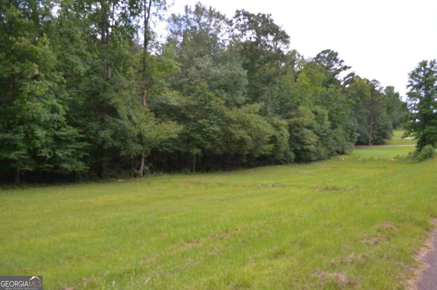 Vacant Land For Sale - LOT 13 Cardiff<br/> Monroe County, Juliette, GA 31046