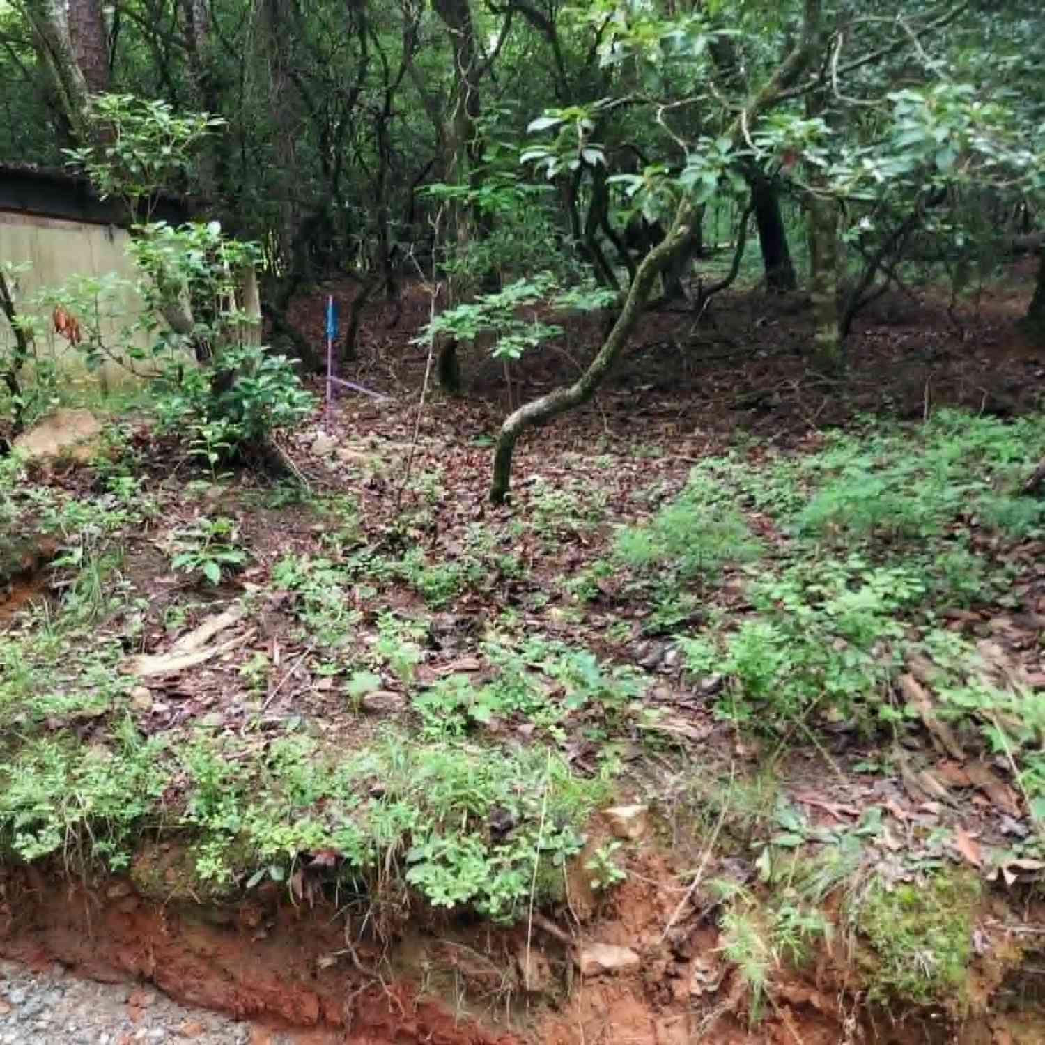 Vacant Land For Sale - 0 LOT 1A Wexford Way<br/> Rabun County, Lakemont, GA 30552