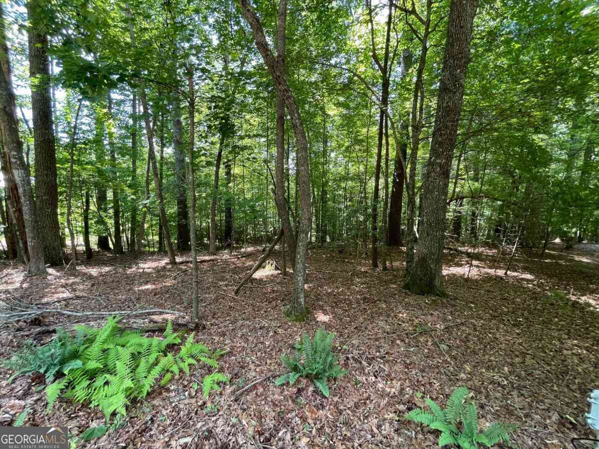 Vacant Land For Sale - LOT 2 Mount Pleasant Ridge Road #2<br/> Blairsville, GA 30512