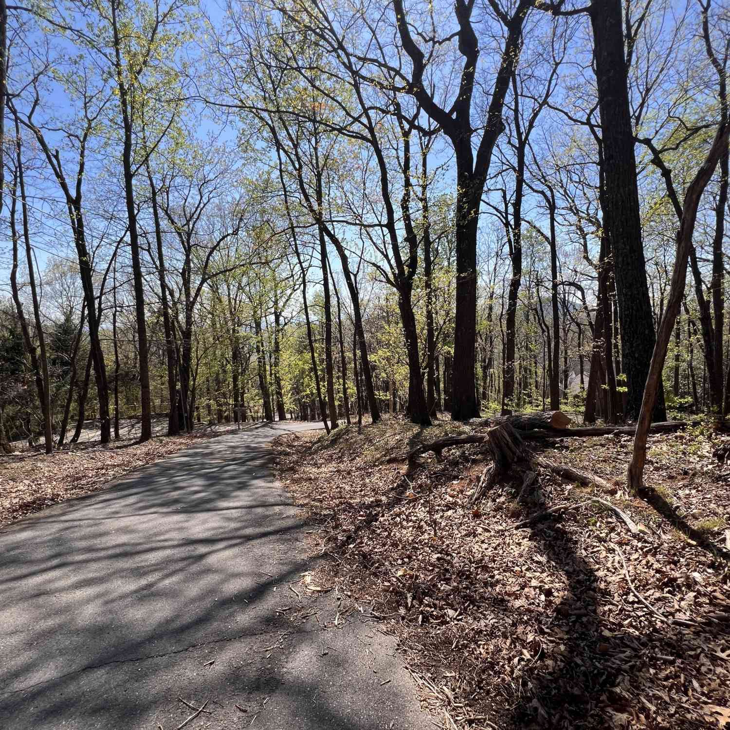 Vacant Land For Sale - 4546 Sassafras Court #4546<br/> Pickens County, Jasper, GA 30143