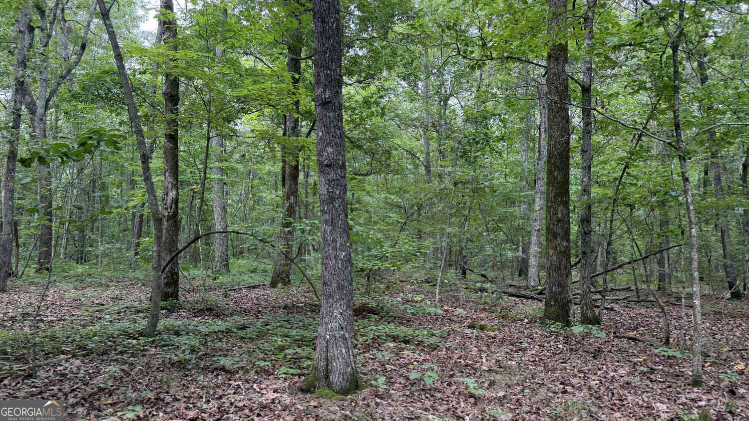Vacant Land For Sale - Bunratty Way NE #259<br/> Kingston, GA 30145