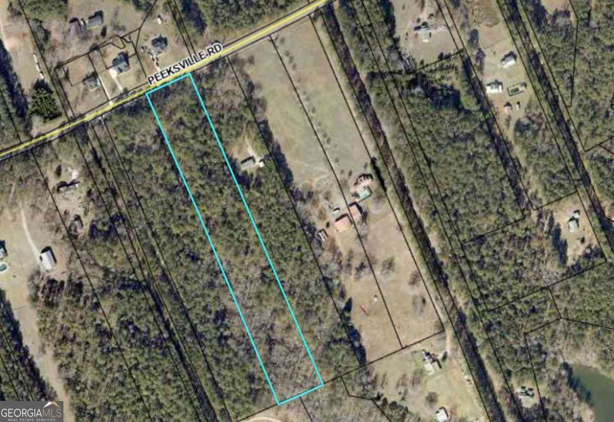 Vacant Land For Sale - Peeksville Road<br/> Locust Grove, GA 30248