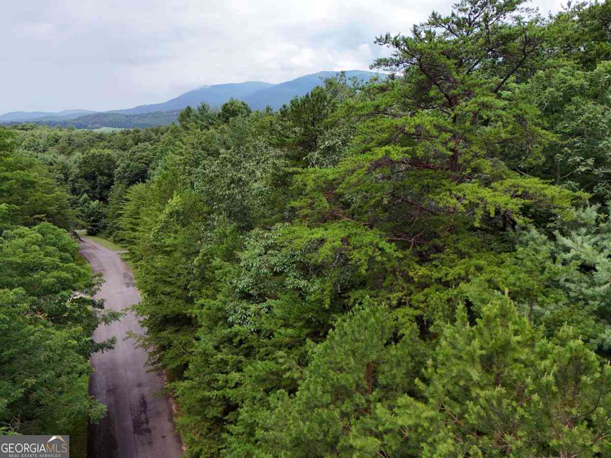 Vacant Land For Sale - LOT 5 East Ridge Lane<br/> Gilmer County, Ellijay, GA 30540