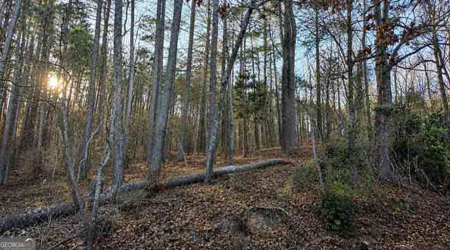 Vacant Land For Sale - 2560 Hi Roc Circle NE<br/> Rockdale County, Conyers, GA 30012