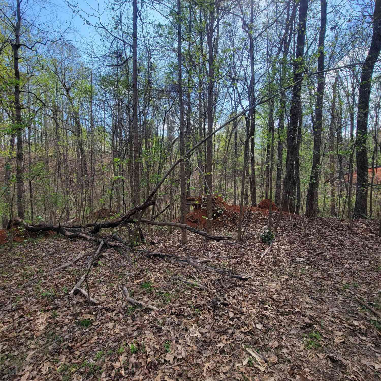 Vacant Land For Sale - 4230 Belvedere Drive<br/> Hall County, Gainesville, GA 30506