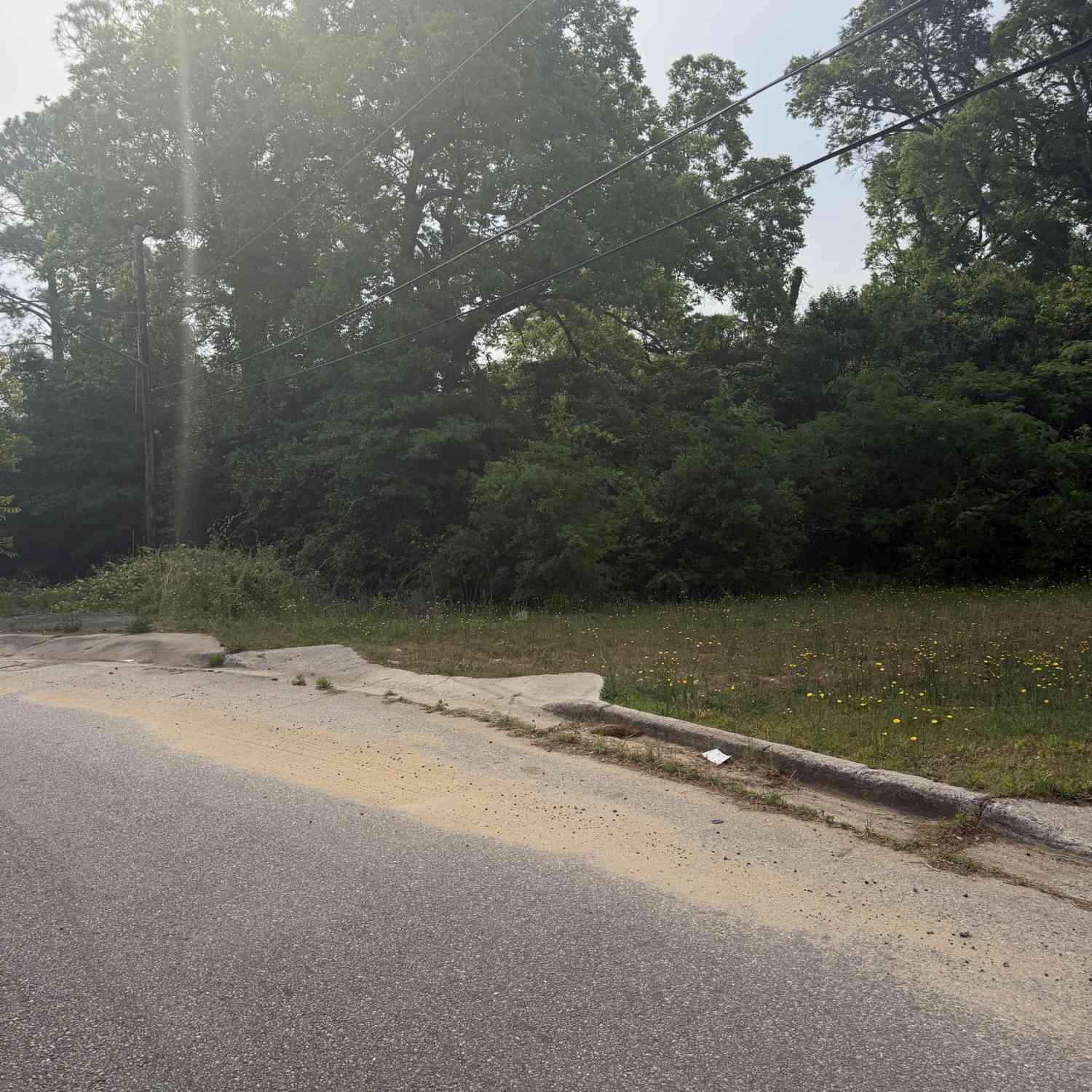 Vacant Land For Sale - 1155 Mitchell Street<br/> Bibb County, Macon, GA 31217