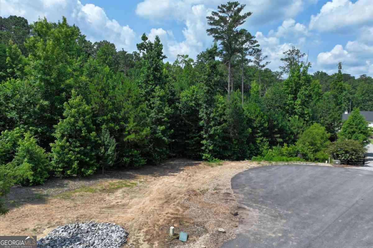 Vacant Land For Sale - 103 Branch Drive<br/> Cherokee County, Woodstock, GA 30188