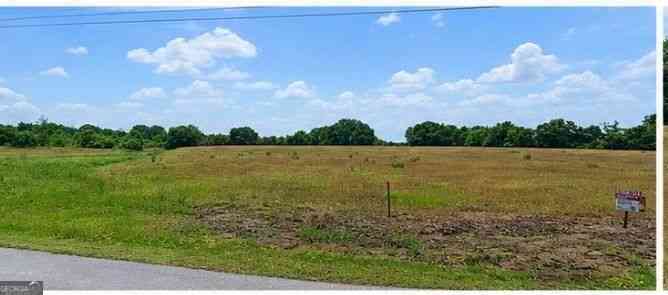 Vacant Land For Sale - LOT 31 Livingston Road<br/> Rome, GA 30161